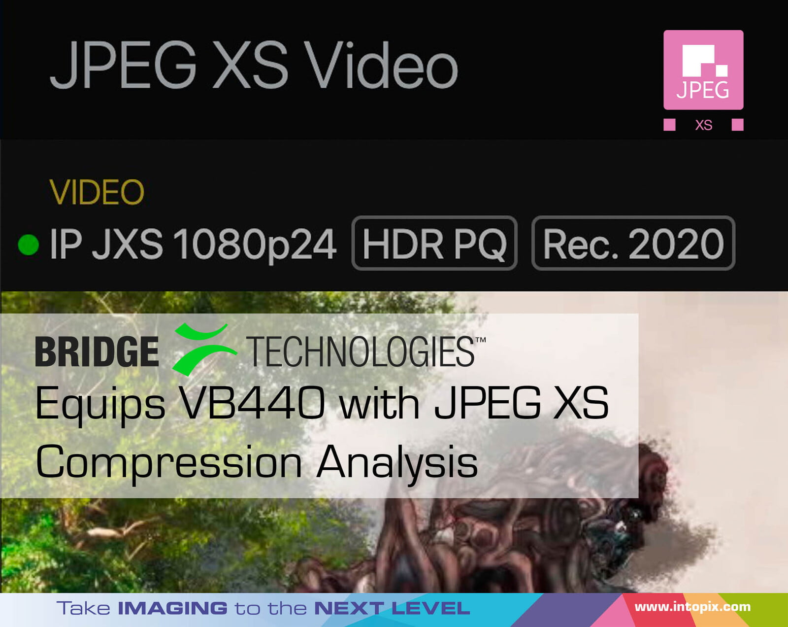 橋樑技術為VB440配備 JPEG XS壓縮分析 